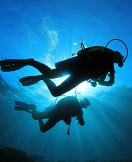 Scuba Diving